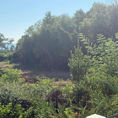 Baden Basanija, Umag-with Sea View, Parking And 300m From The شقة