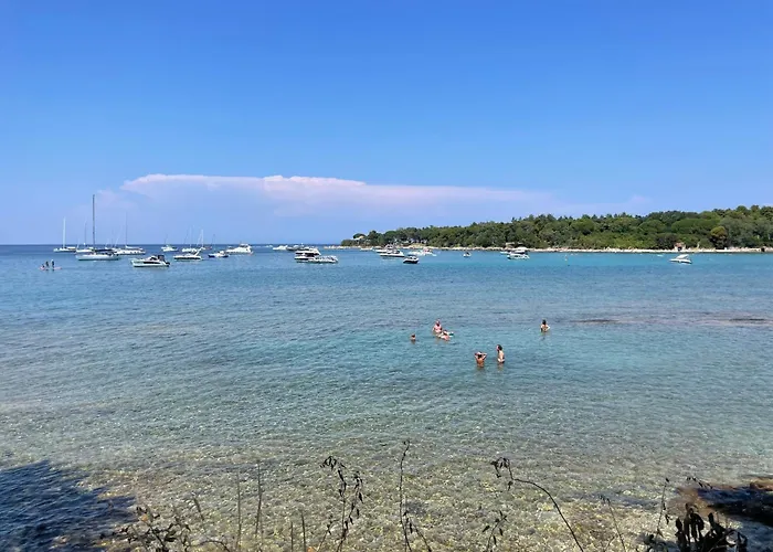 Lejlighed Baden Basanija, Umag-with Sea View, Parking And 300m From The *